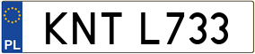 Trailer License Plate